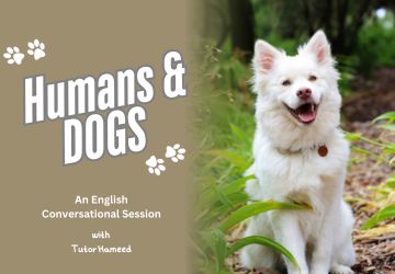 Man’s Best Friend: The Relationship Between Humans and Dogs